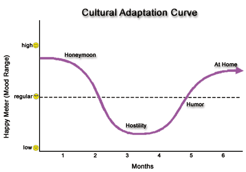culture_shock_curve_new